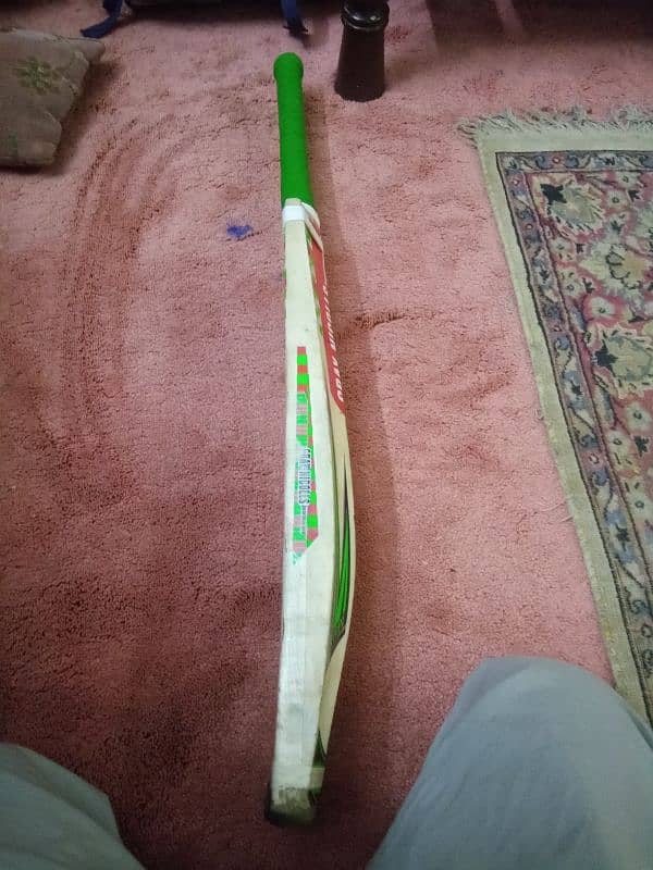 cricket Hard ball bat 2