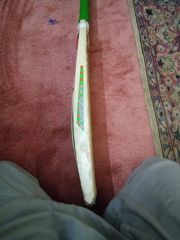 cricket Hard ball bat 3