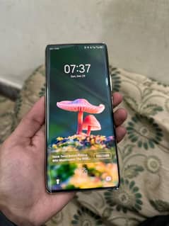 Tecno Spark 20 Pro plus