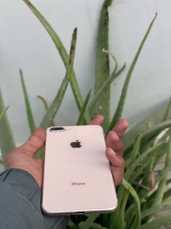 Iphone 8 plus PTa approved 1