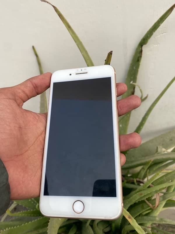 Iphone 8 plus PTa approved 2