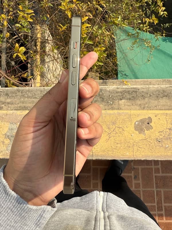 iPhone 13 Pro PTA 2