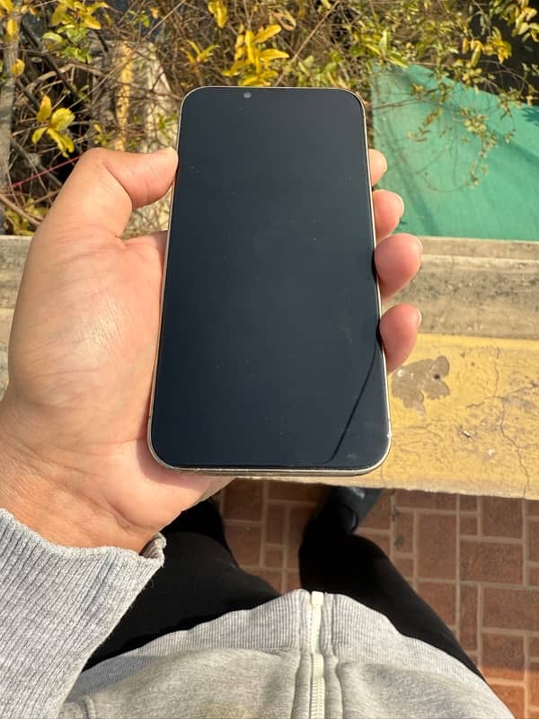 iPhone 13 Pro PTA 3