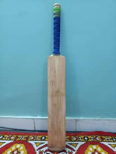 cricket bat