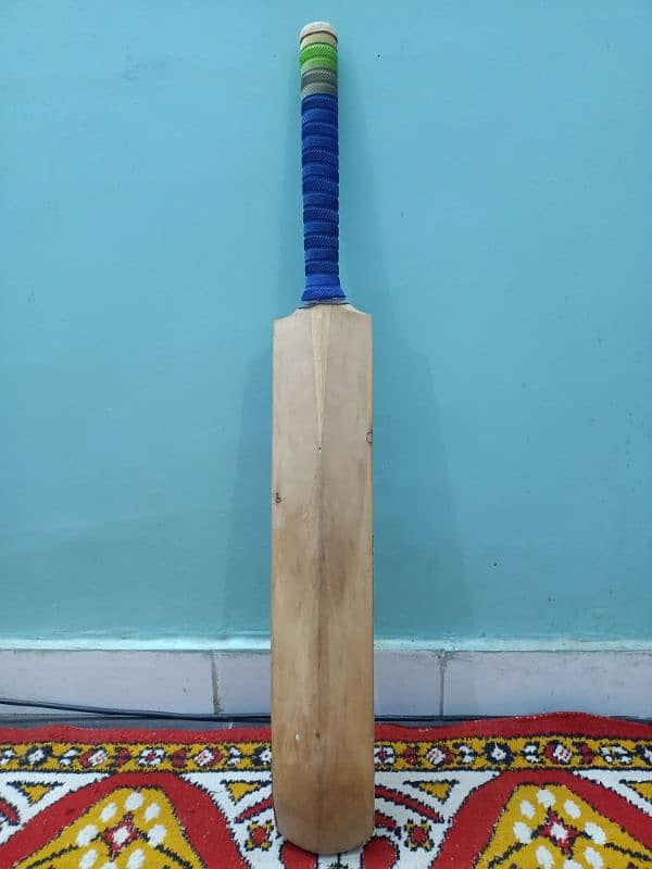 cricket bat 1