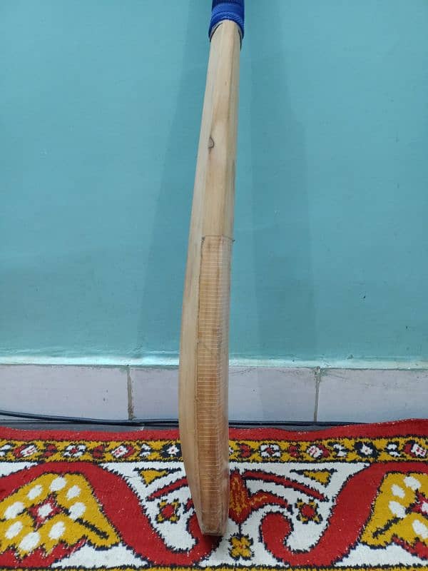 cricket bat 2