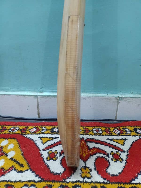 cricket bat 3