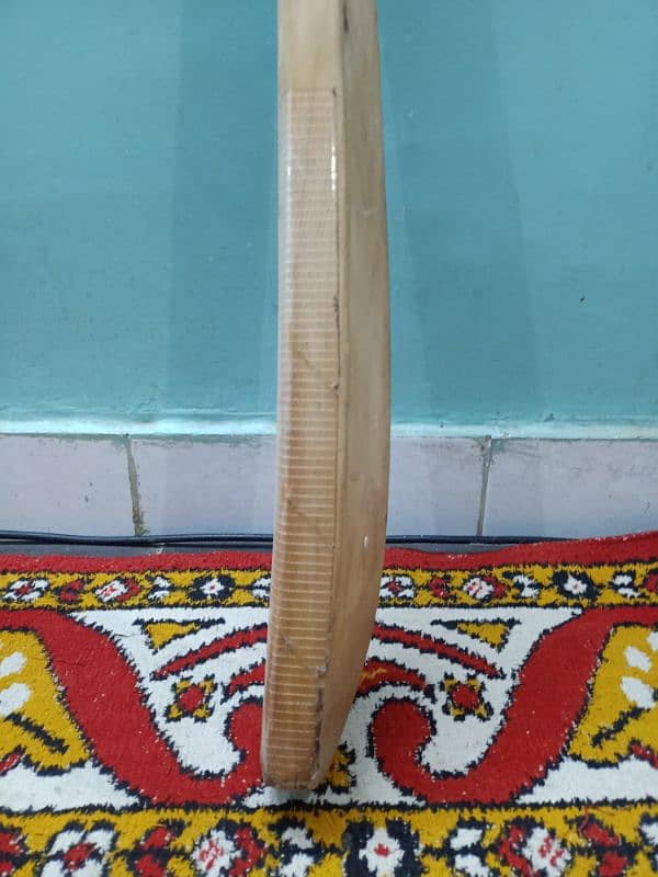 cricket bat 5