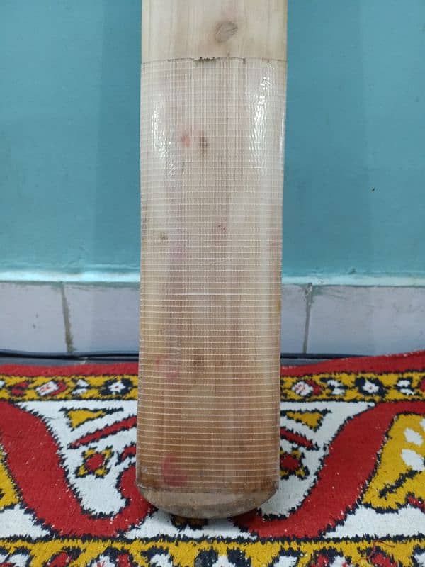 cricket bat 6