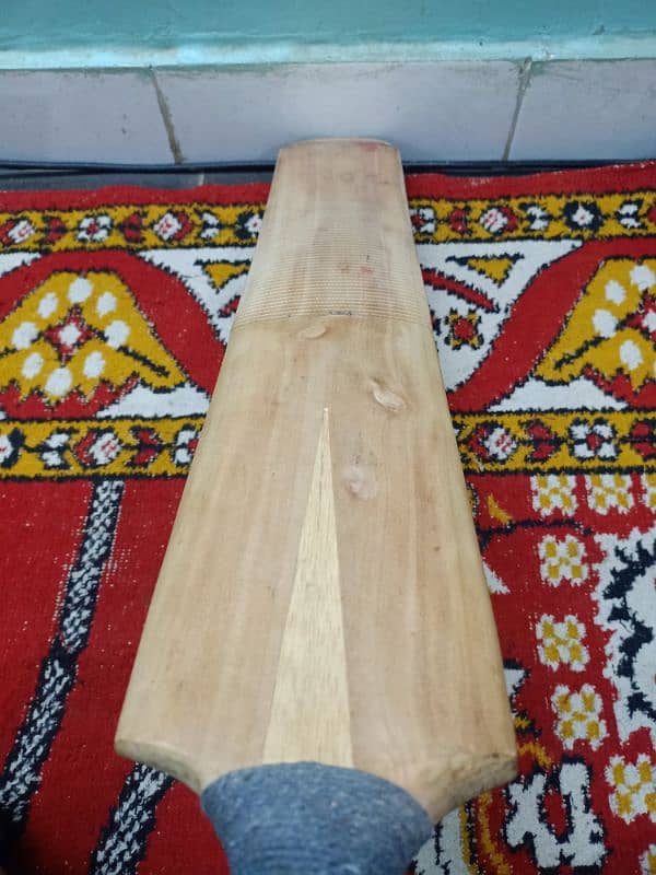 cricket bat 10