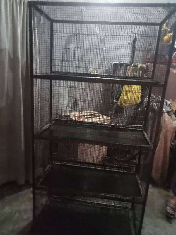 bird cage 3