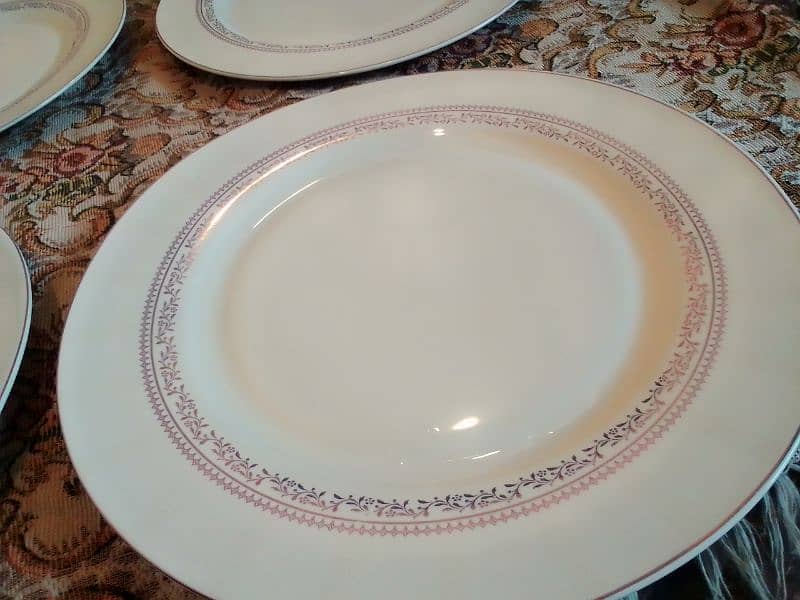 Dinner set Fine Bone Shelley royal quality 53 piece 5