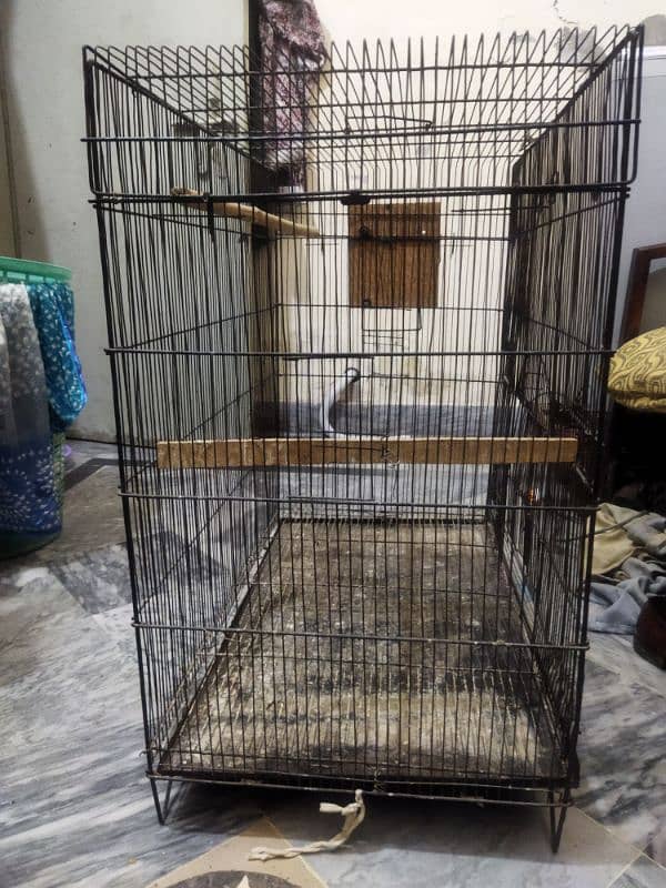 Birds Cage 2