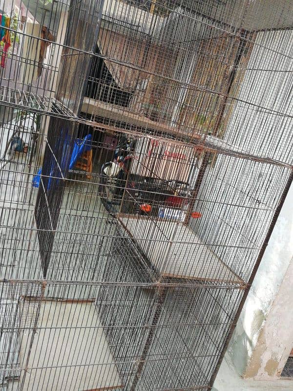 Bird Cage Good Condition 1