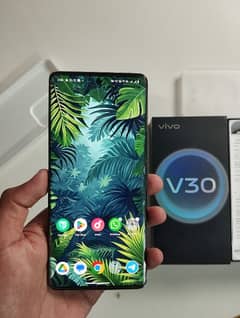 Vivo v30 12/256gb For sale With Box