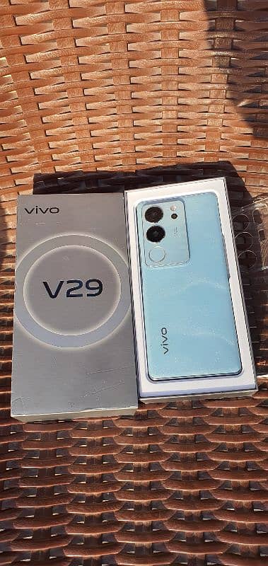 VIVO V29 5G     12/256GB 1