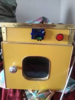 Incubator for eggs