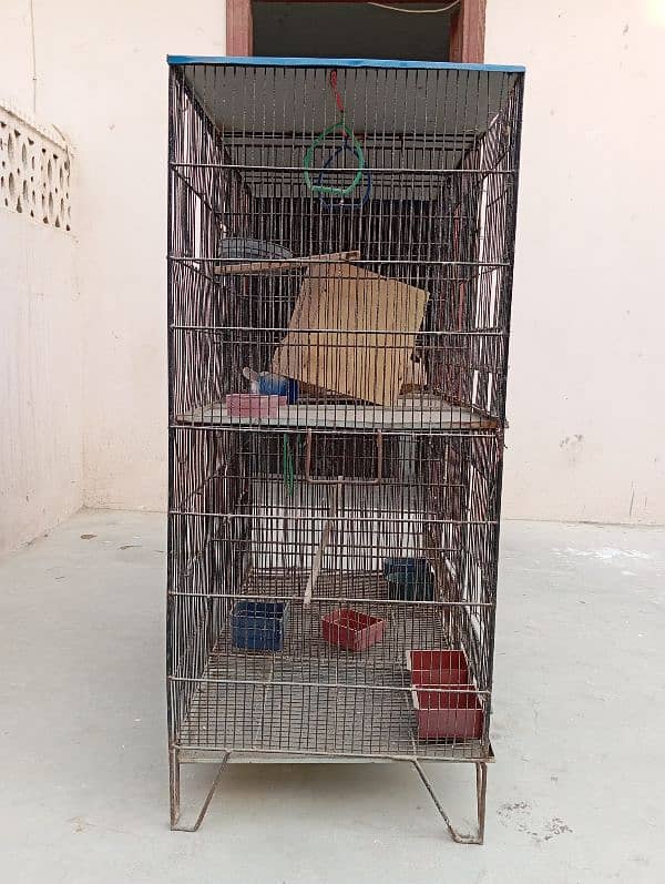 Birds Cage 3