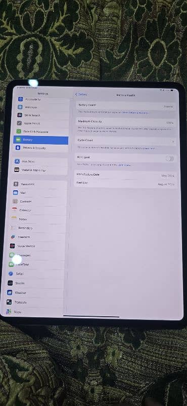 iPad Pro M4 256gb Cellular + wifi 1