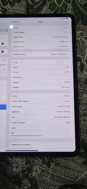 iPad Pro M4 256gb Cellular + wifi 2