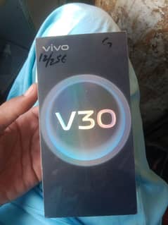 vivo v30