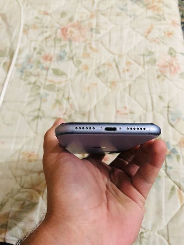 iphone 11 pta approved 1