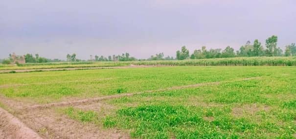 840 Acre Agricultural Land Available For Sale In Depalpur Okara 2