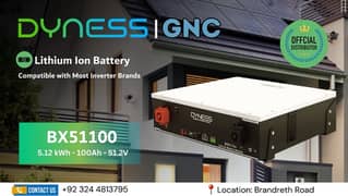 Dyness Lithium Ion Battery