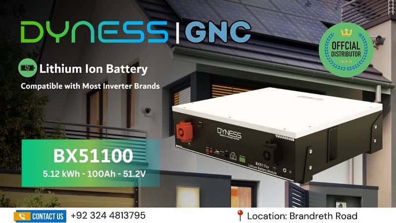 Dyness Lithium Ion Battery 0