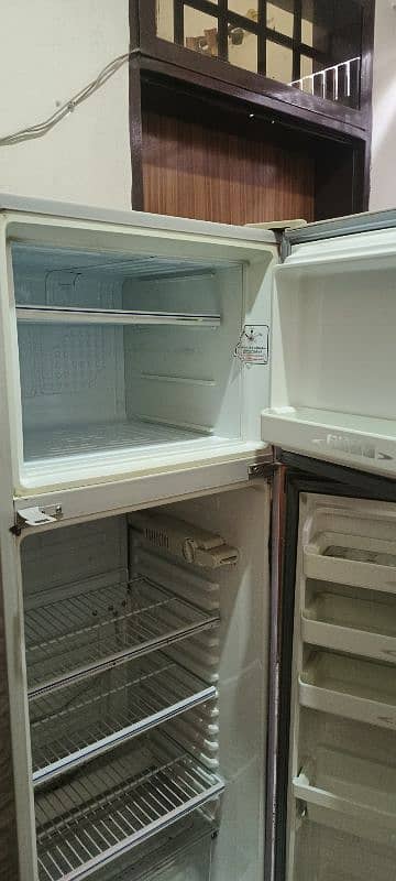 dalan i fridge 2