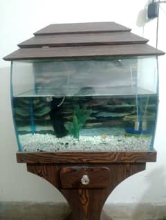 Fish Aquarium