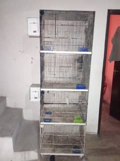 4 portion cage and albino split breeder pair available