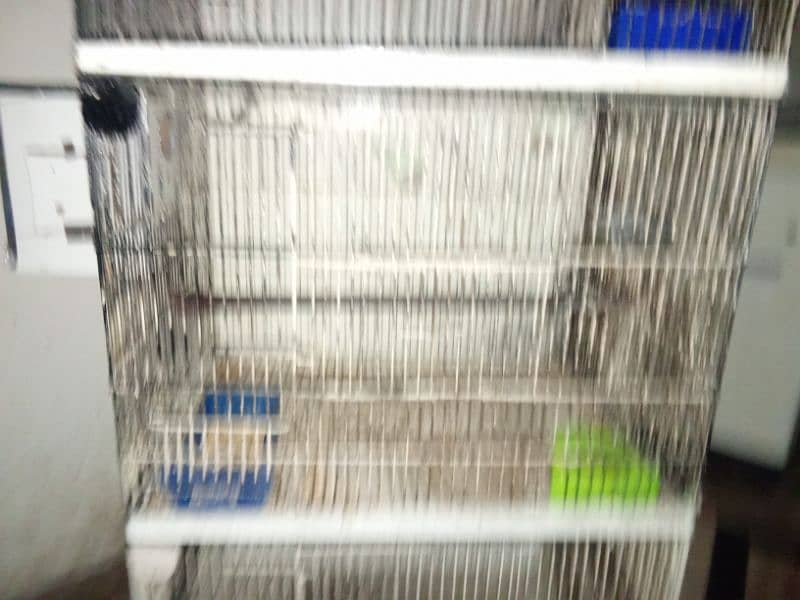 4 portion cage and albino split breeder pair available 5