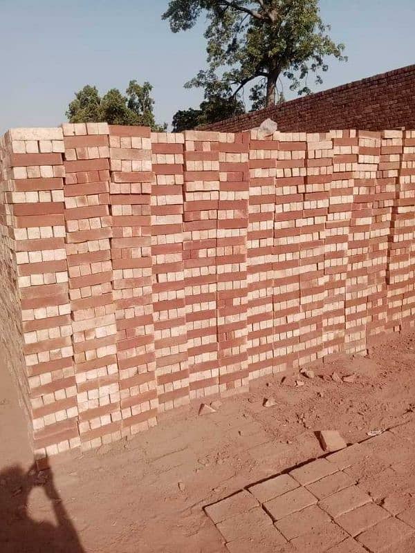 Sahzad bricks 0