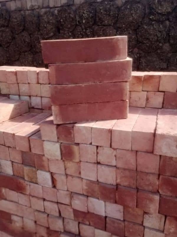 Sahzad bricks 2