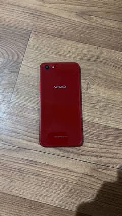 Vivo