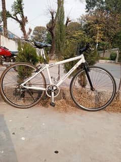 Corvette imported hybrid bicycle for sale