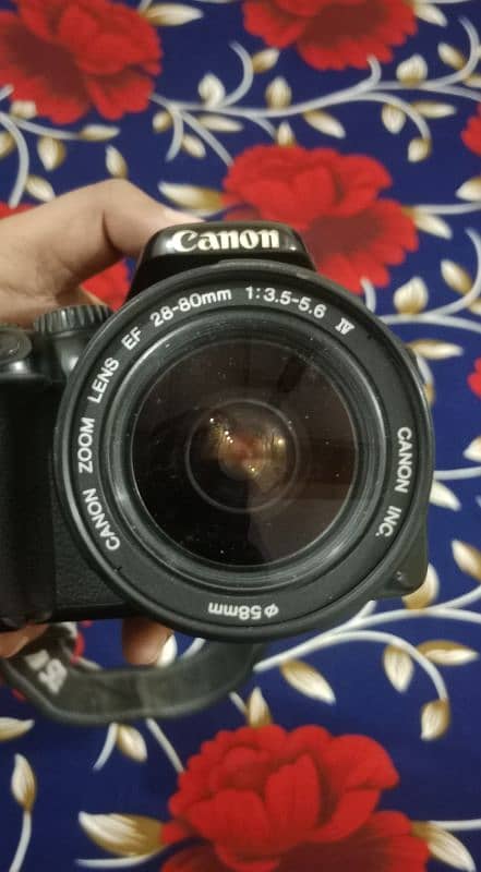 Canon EOS 550D 3