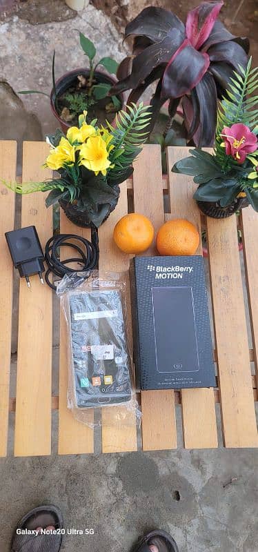 BlackBerry motion in lush condition (pta official approved ) with box 1