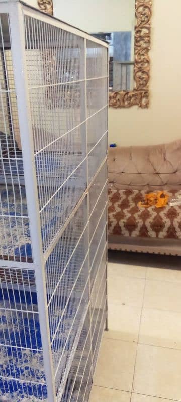 6 portion cage urgent sell sirf serious buyer contact Kary 3