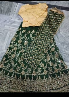 Blouse, silk  Lehenga. ; embroidery with mirror work,large size