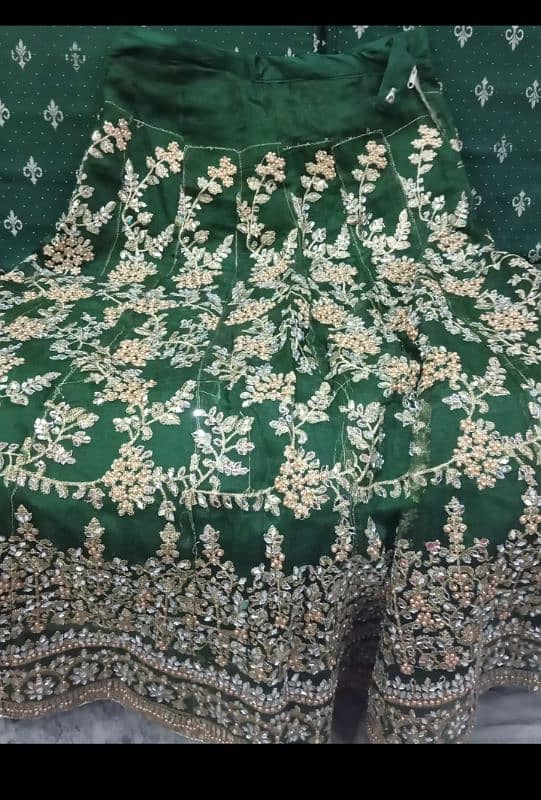 Blouse, silk  Lehenga. ; embroidery with mirror work,large size 1