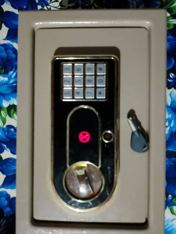 Electric Locker 2