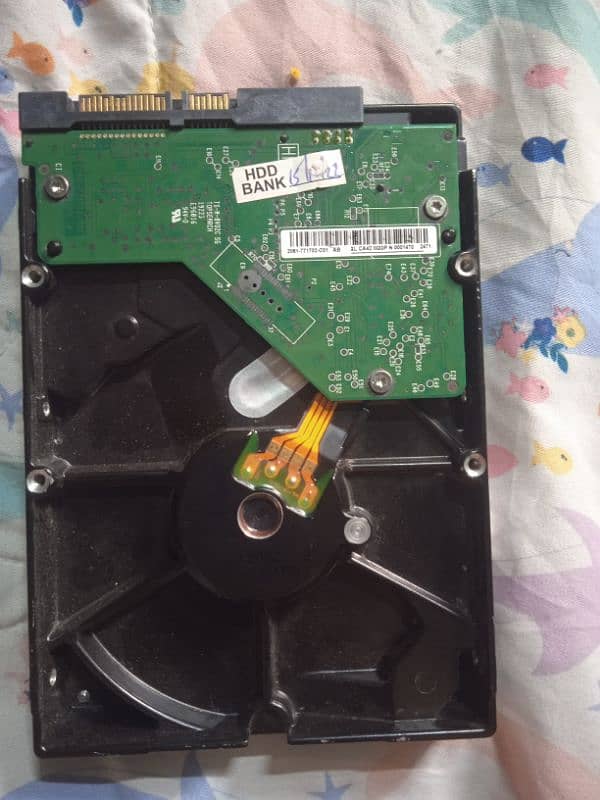 500 GB hard disk 1