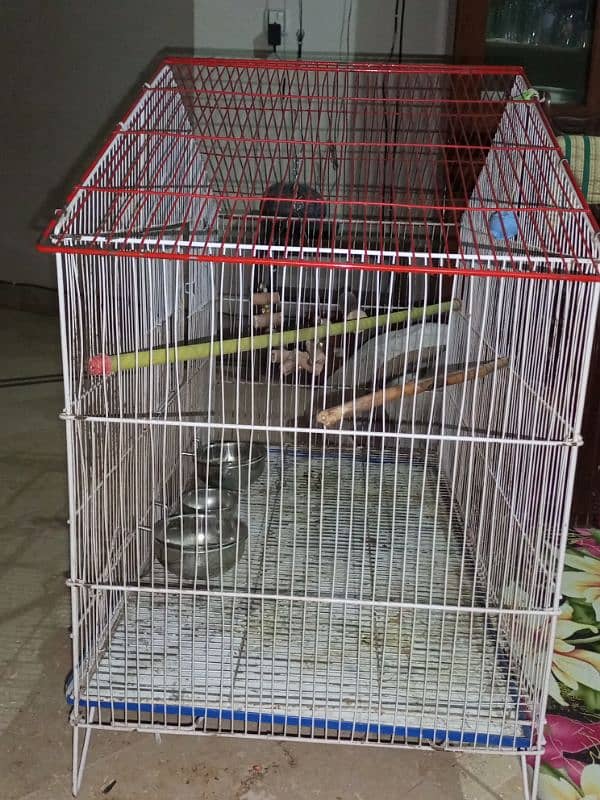 Parrots cage (only) 1