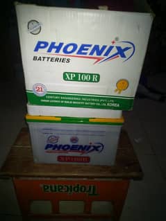 PHOENIX BATTERY NEW