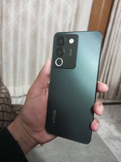 VIVO V29E Lush condition