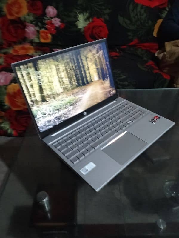 HP Pavilion 13 - eh1114au 1