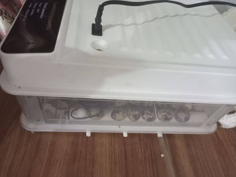 Incubator 28 Eggs Capacity Fully Automatic For Hatching 3