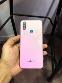 Vivo